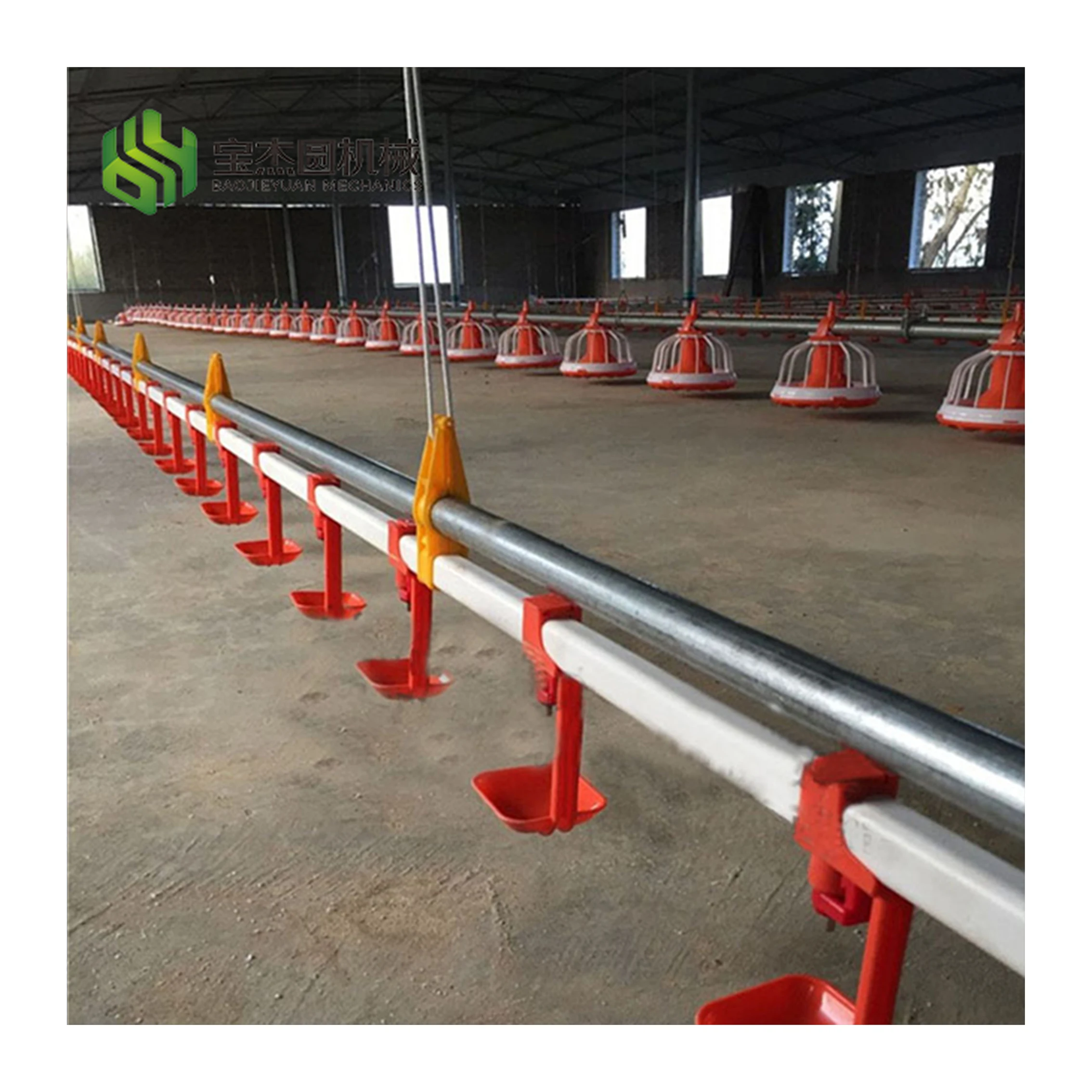 Broiler Breeder Raising Growing Equipment System Plant Line Layer Farm Poultry for Chicken House