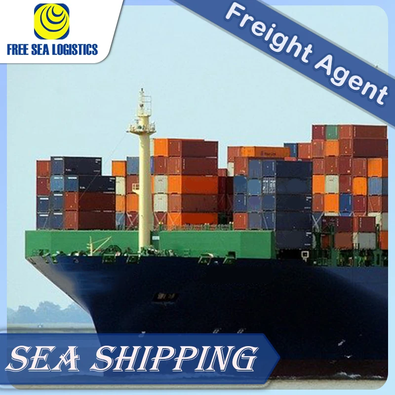 The best  shipping services from China to Saudi Arabia Dubai Qatar ddp shipping