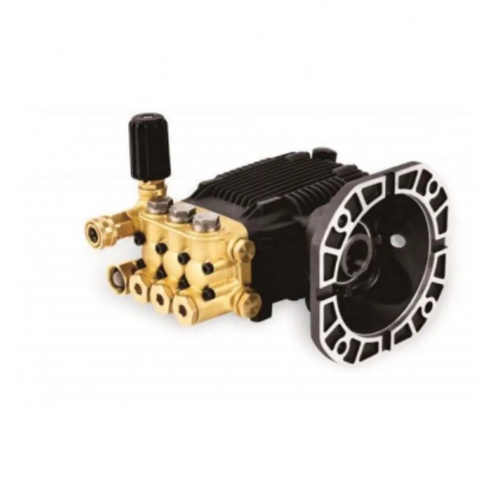 AA-15042C5 AC5 Series NEMA-56C HOLLOW SHAFT High Pressure Washer Pumps Reciprocating Piston