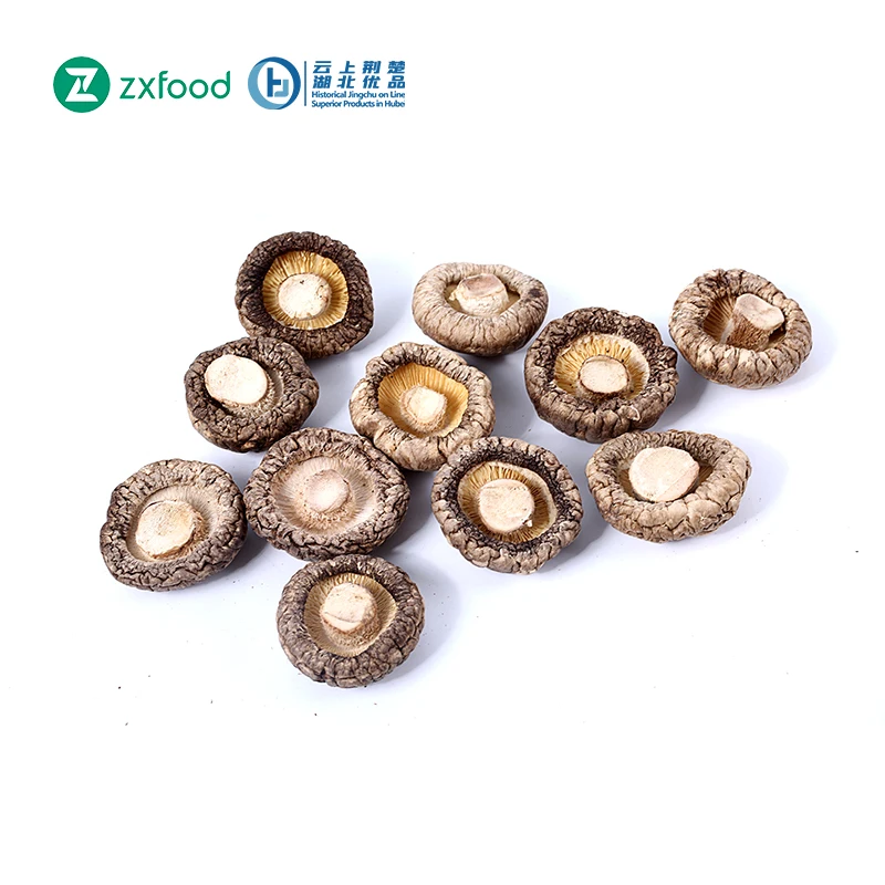 
2021 New Best Price mushroom factory from SuiZhou 