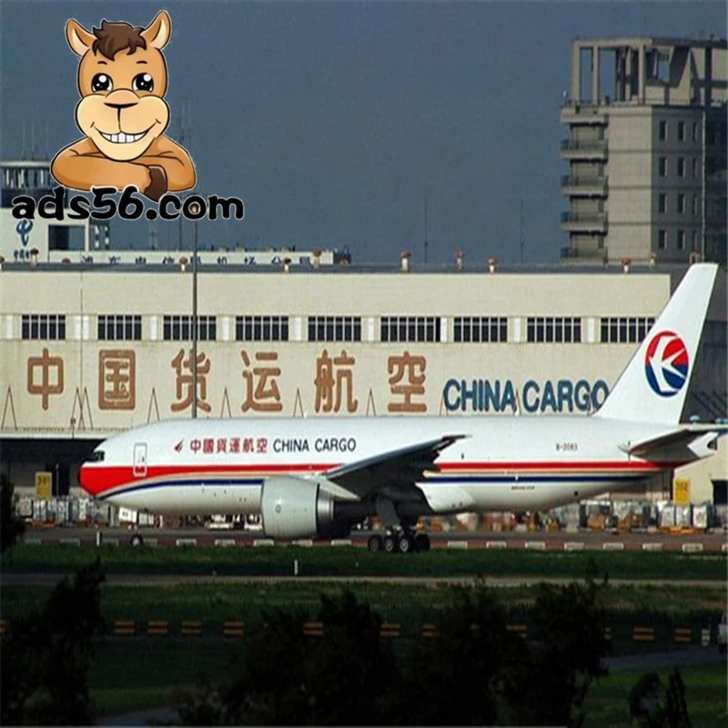 sea shipping for free shipping goods to Nassau  LCL sea shipping forwarding-- wechat 86 15271797980