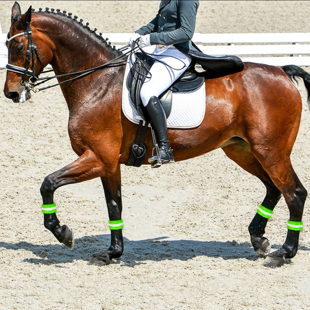 Battery Operated Decoration Accessories Equipment LED Flashing Horse Leg Collar Horse Breastplate