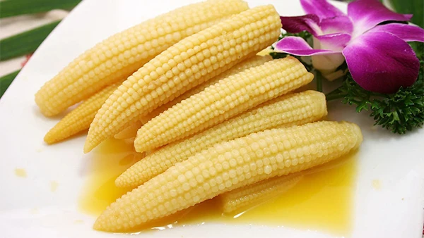 Wholesale Export Frozen Baby Corn Cobs of Price