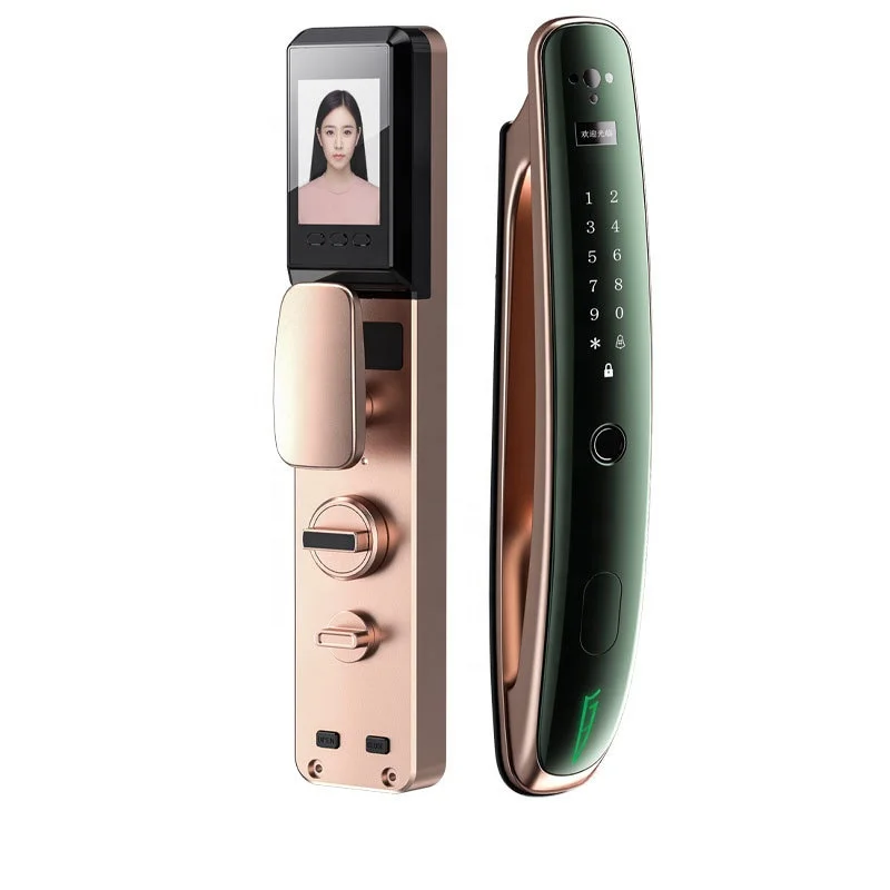 High quality wholesale smart door lock face recognition smart locks with camera