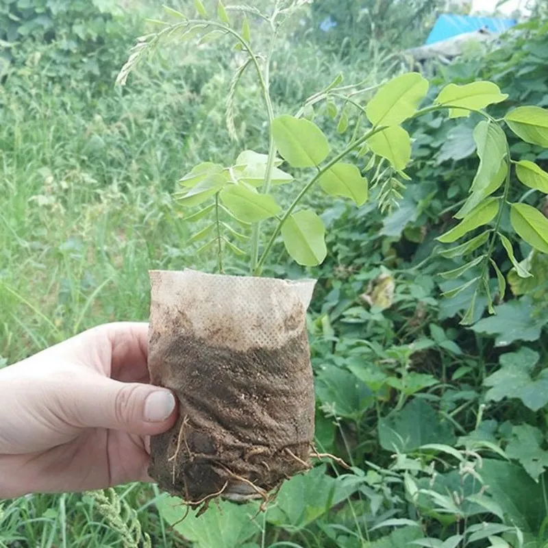 hot sell  100% polypropylene Nonwoven bag cheap customized small bags for seedling bag