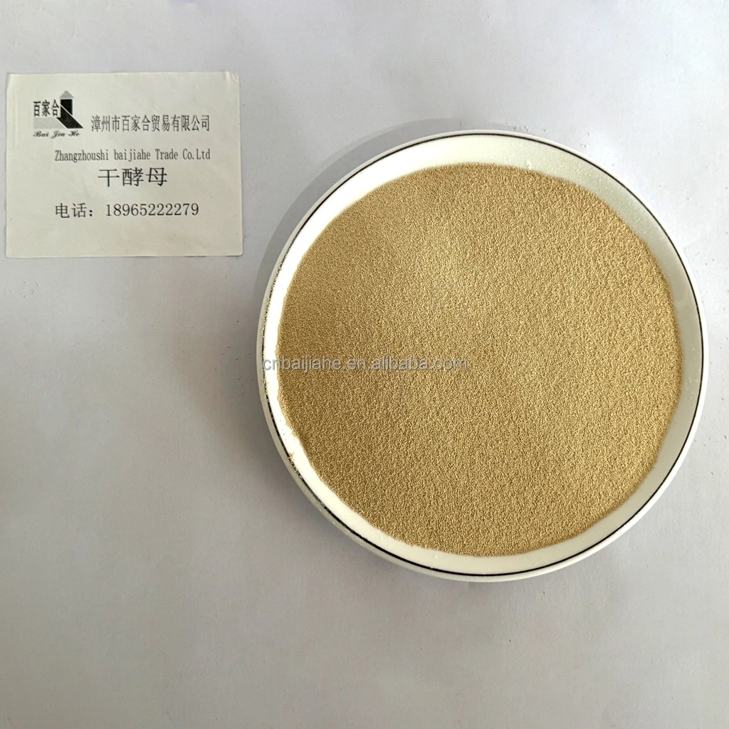 Highly Active Dry Yeast Fluffy Soft Fast Soluble Low Sugar Type for Fermentation Chinese Factory Direct Powder in Bag Packaging