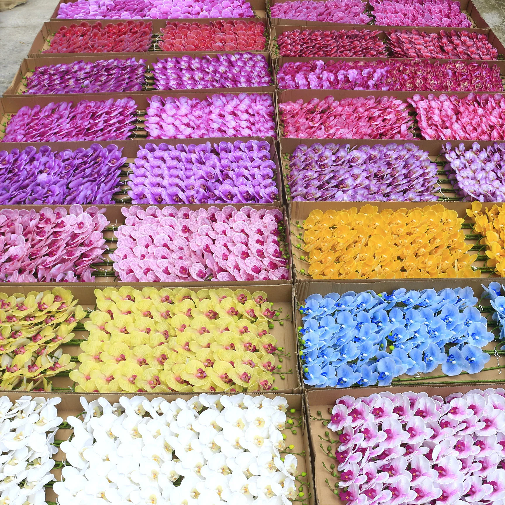 DKB 2024 factory wholesale high quality artificial orchid flowers white Butterfly orchid for party decoration