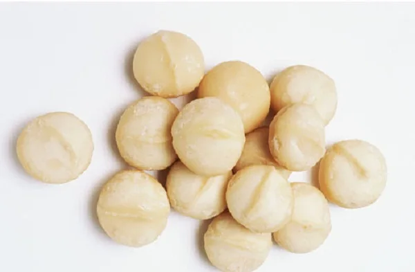 Macadamia Nuts Without Shell from Vietnam