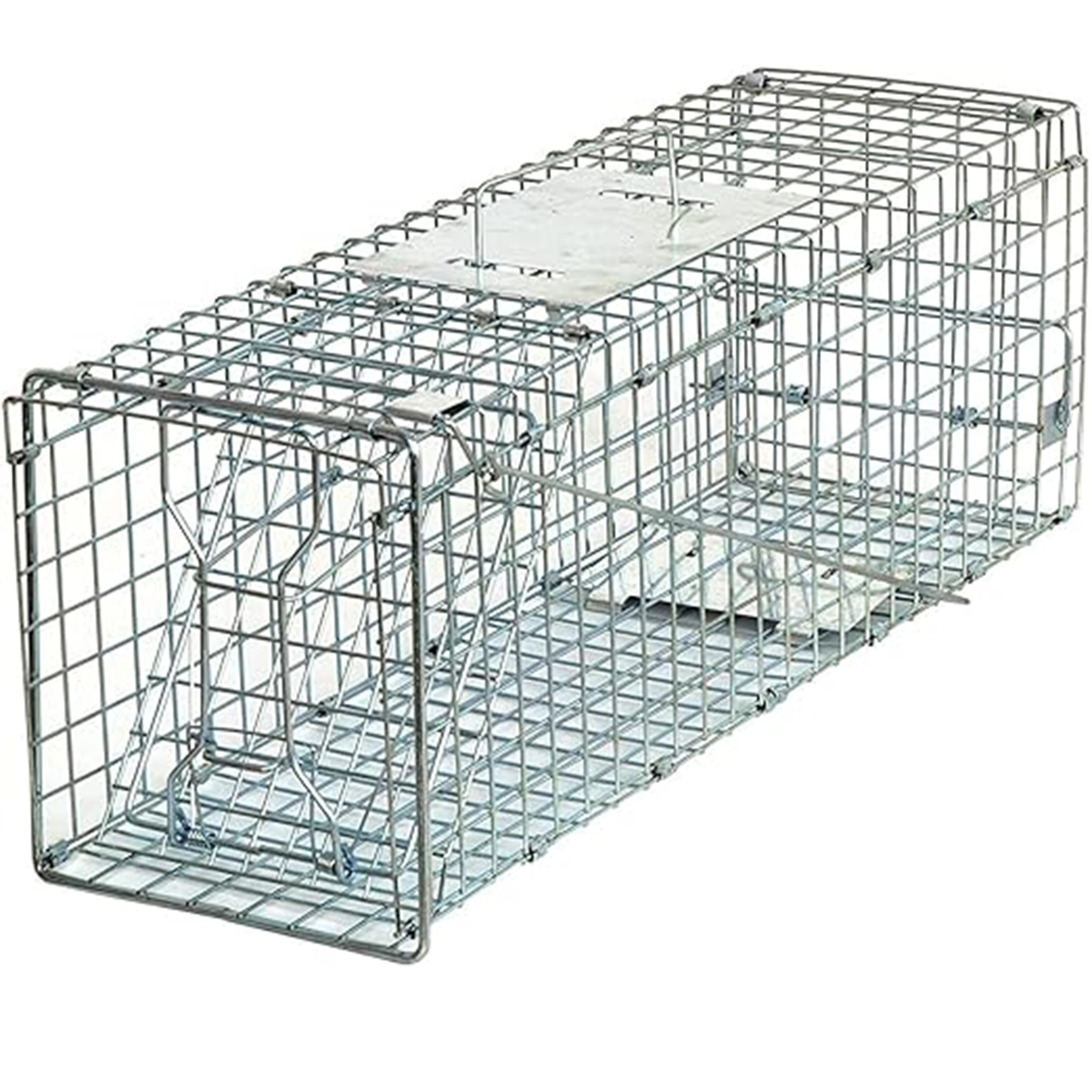Live Animal Cage Trap Humane Opposum Trap Cat Raccoon Trap