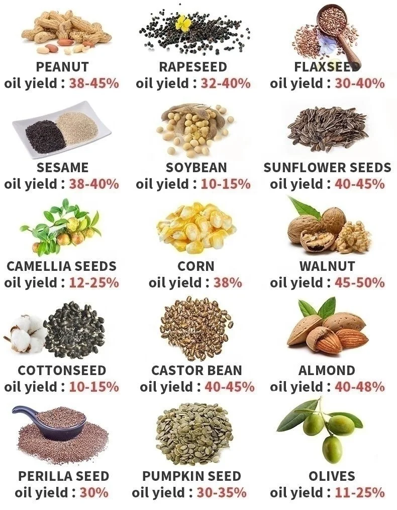 Коммерческая машина для прессования масла с винтовым маслом холодное арахисовое масло соевое экстрактор пресс-машина