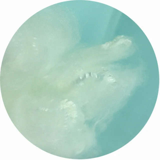 White 1.5d 38mm acrylic fiber pan fibre like wool