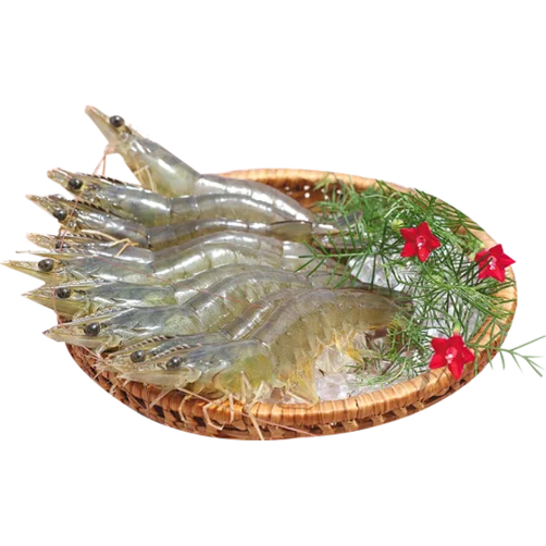 Quality Frozen Vannamei Shrimp Export from Vietnam with competitive price(Thailien company Ms Fiona:+84908794118)