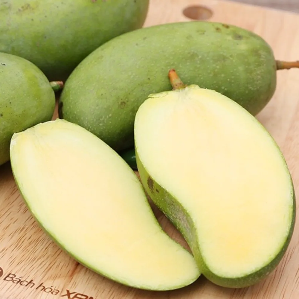 
Flat Seed Mango Sweet And Light Sour Taste 70 - 90% Maturity Fresh Deo Mango From Dong Thap, Viet Nam 