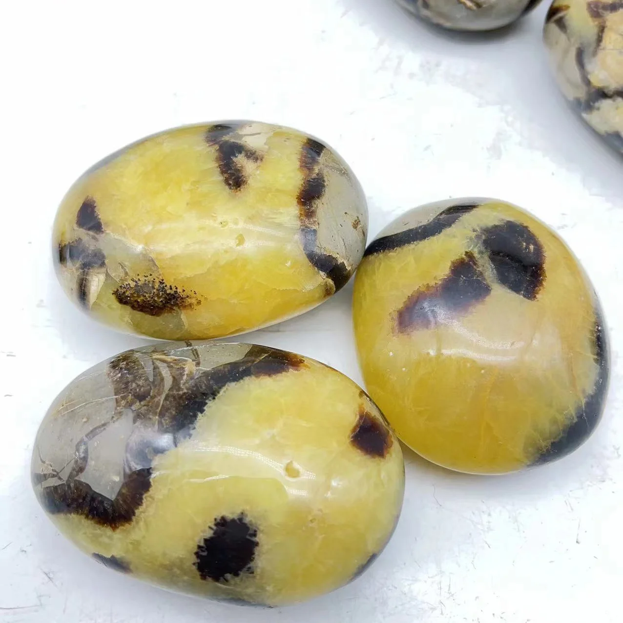 Wholesale Natural crystal septarium palm stone crystal quartz gemstone palm for decoration and artwork gift