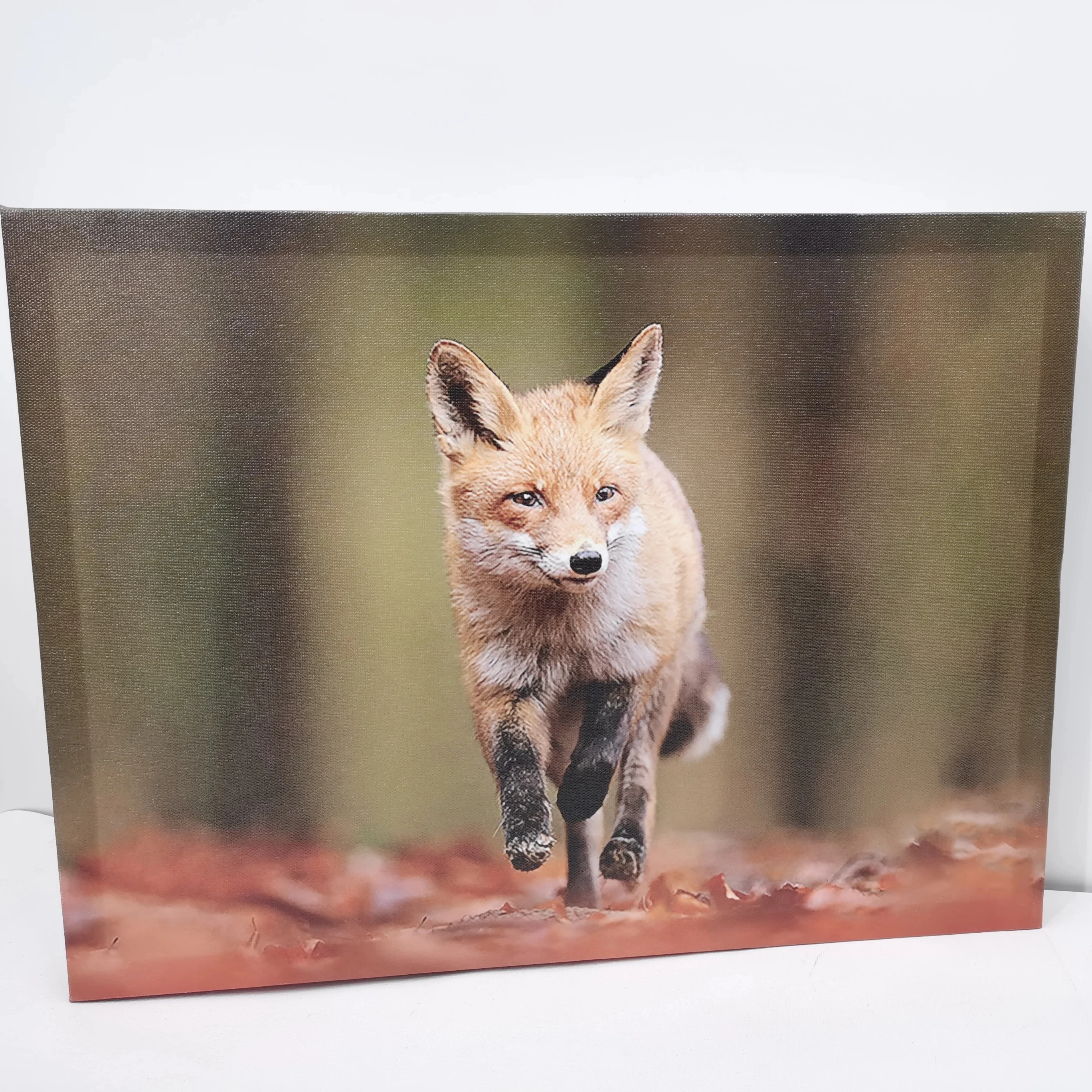 Wholesale Custom Canvas Prints Canvas Painting animals  Landscape Paintings Seascape  Wall oil  Art Hanging Decorations