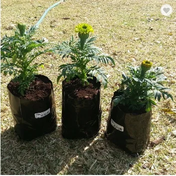 Черные пластиковые пакеты для рассады, горшок для растений