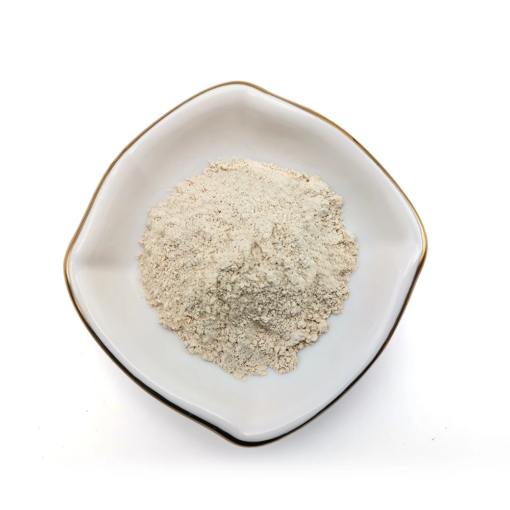 2024 Tosepela Seasoning Powder Factory Supply High Quality Dried Garlic Ginger Powder