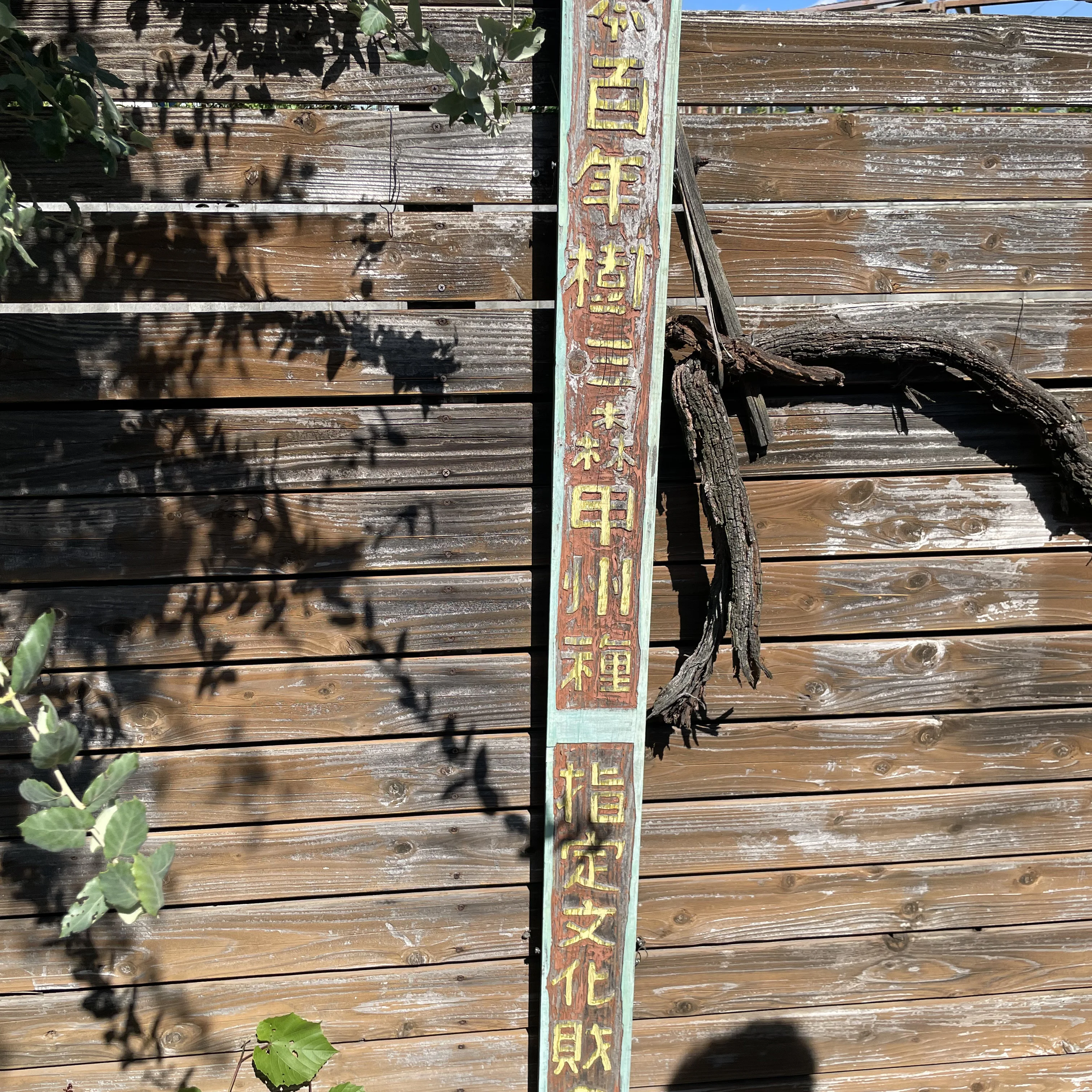 Diamond blended sparkling label price sweet white wine for wholesale