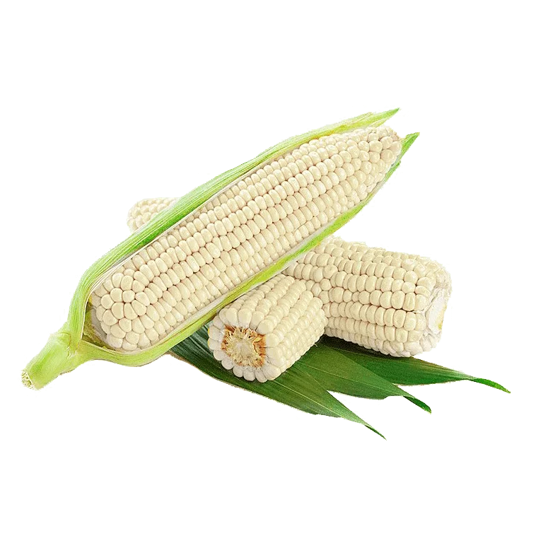 Высококачественная Белая Кукуруза для корма людей и животных