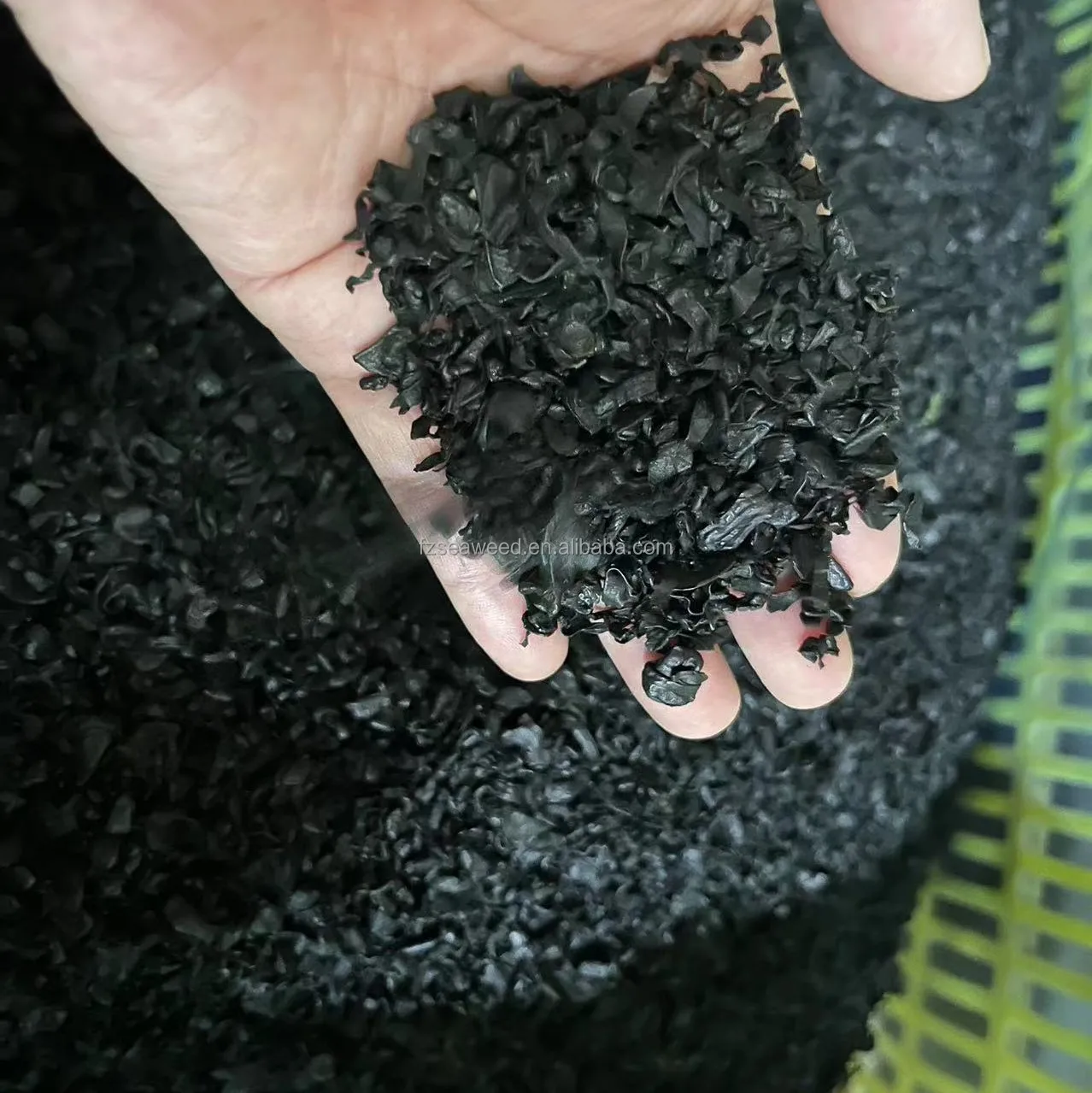 Dried wakame young leaf for Japanese food