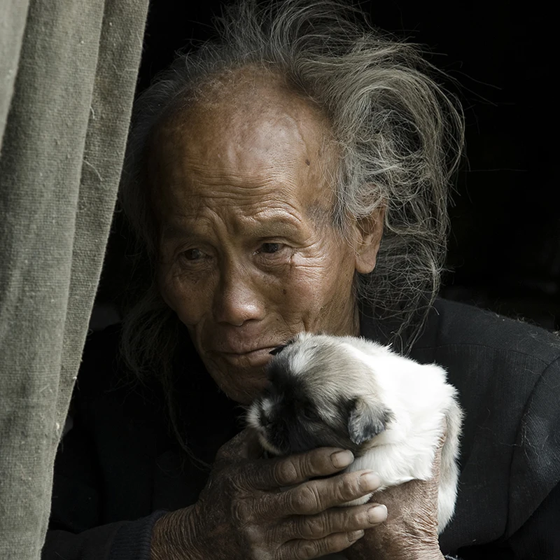 Top Selling Free samples stray cat food Manufacturer high-quality best-selling lowest price dry cat food