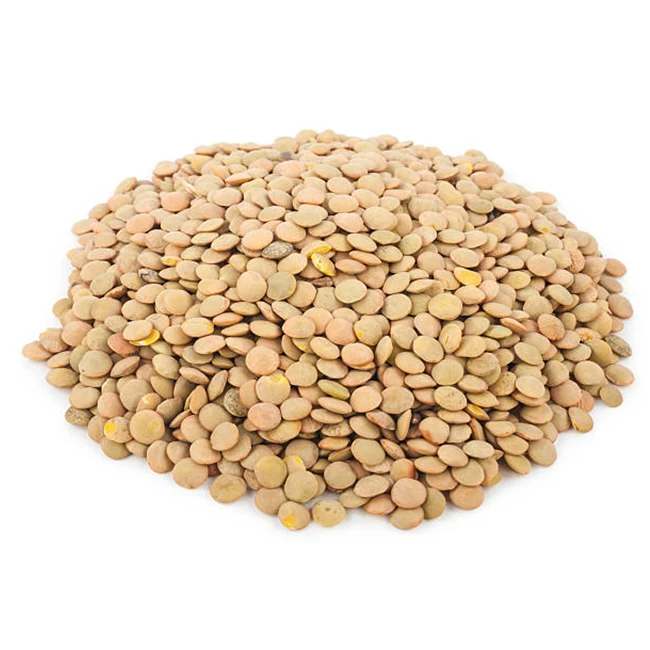 Высококачественная линза Richlea-высокое качество, Лучшая цена, непосредственно от производителей в Мексике