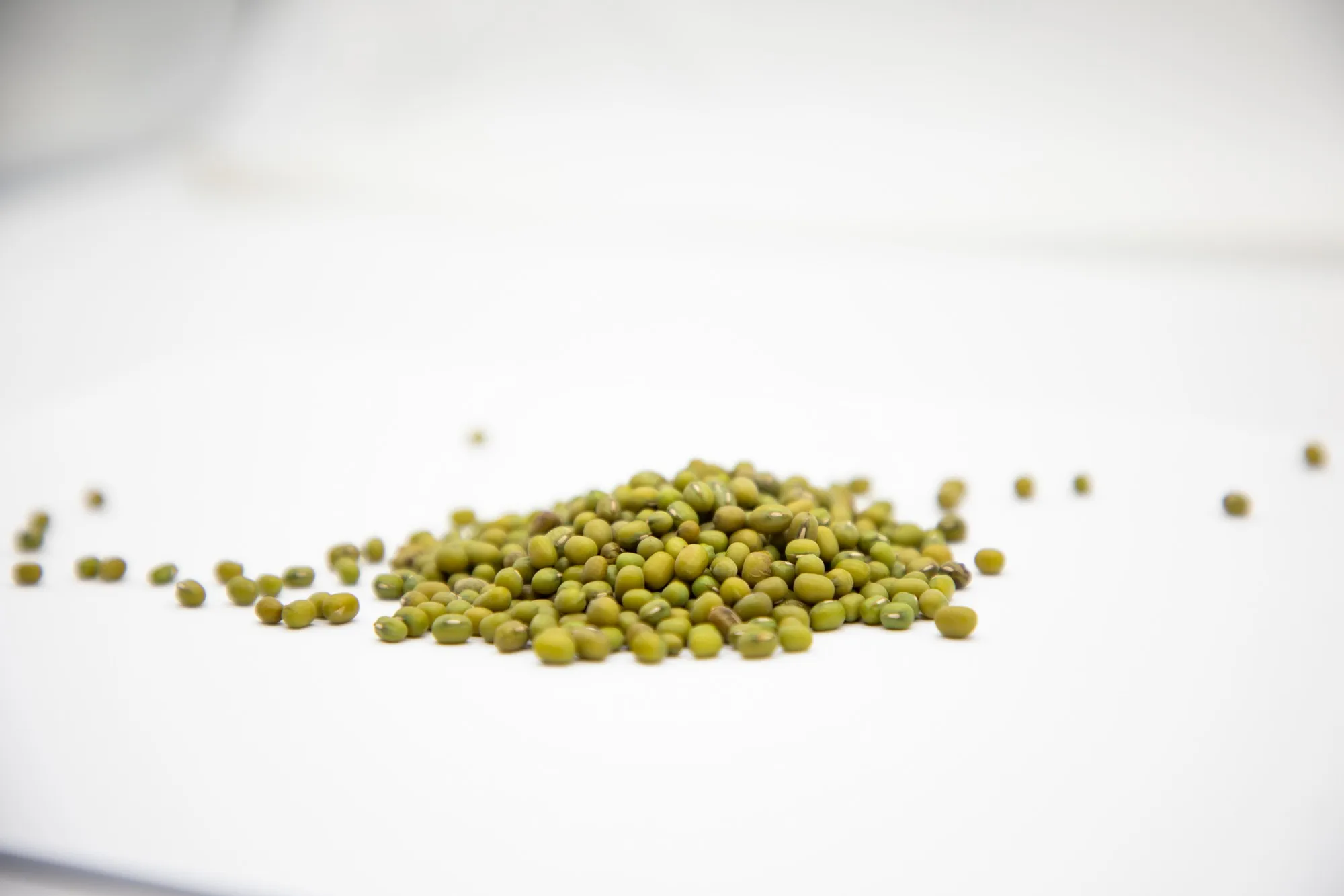 Organic green mung beans 100% natural high grade vigna beans for sprouting from Uzbekistan manufacturer