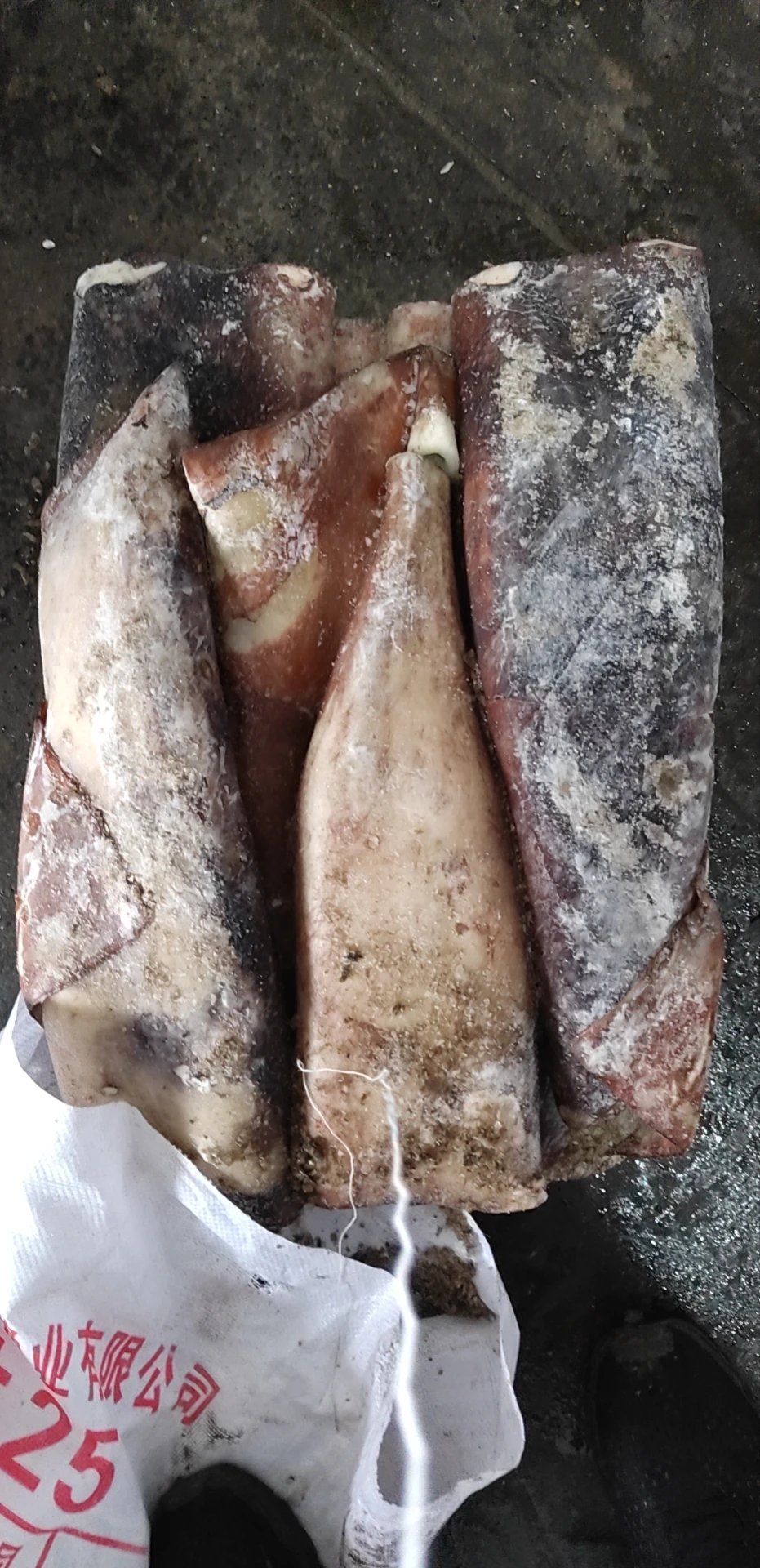 Высококачественный свежий замороженный гигантский кальмар seafrozen, производство Китай