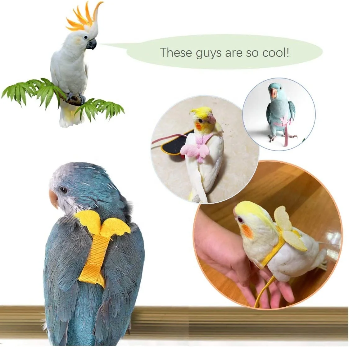 Adjustable Parrot Bird Harness Outdoor Flying Rope for Cockatiel Small Birds Cockatiel Monk Parakeet Conure Crested Myna