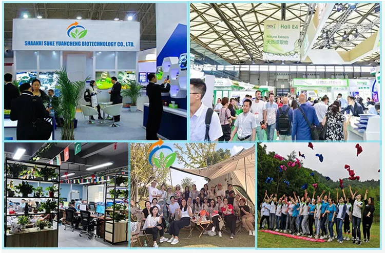 Factory Supply c10h15n Crystal Free Sample Isopropylbenzylamine Cas 102-97-6 Crystal