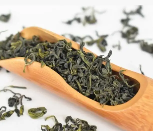 Lao shan lv cha famous chinese Qingdao Mountain Lao green tea for sale