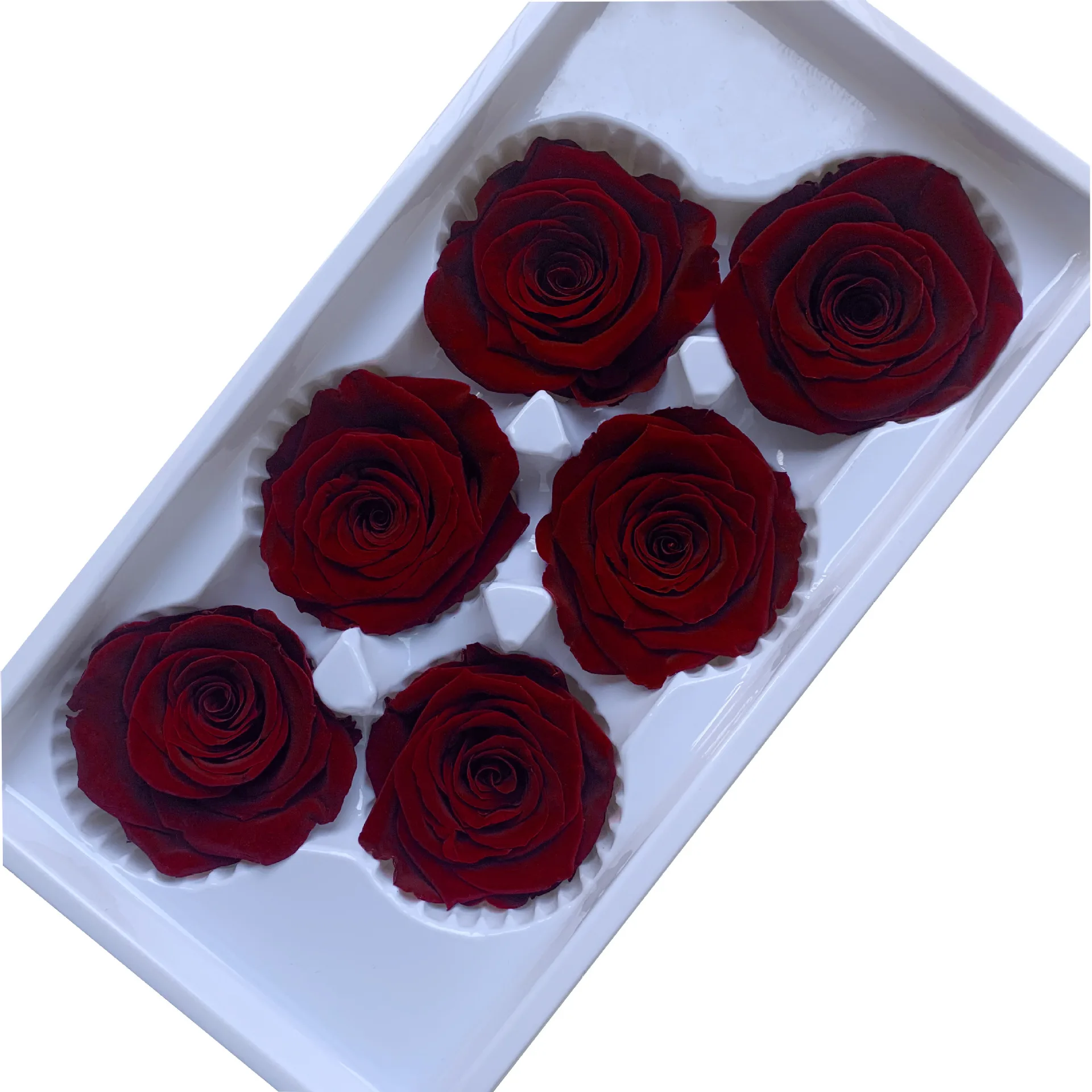 Sale Eternal Roses Bud Flower with 5-6cm Everlasting Preserved Dried Rose Buds for Gifts