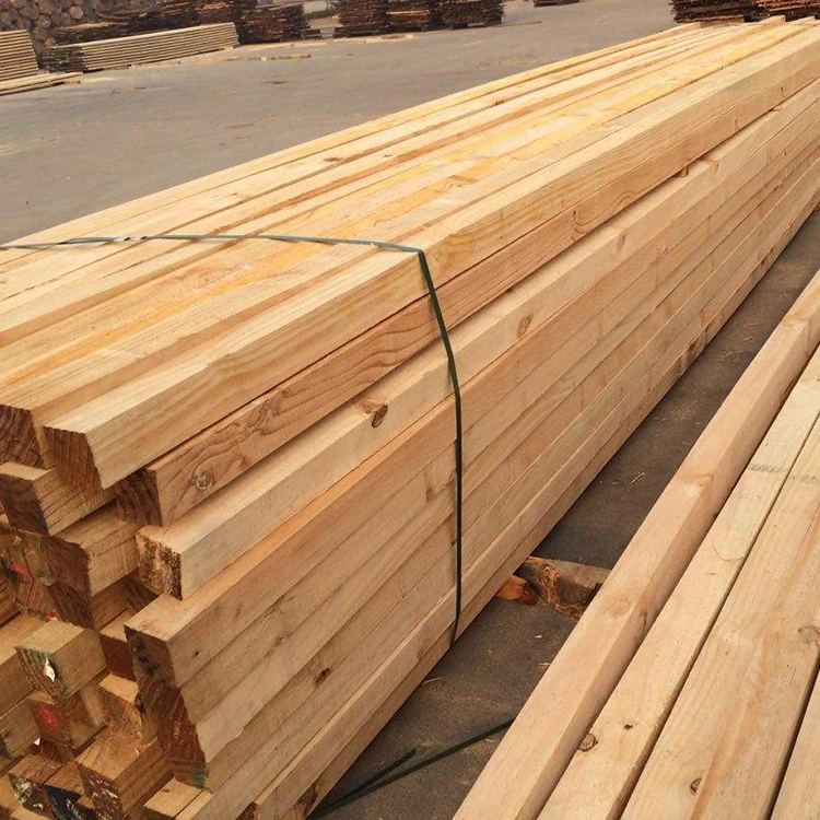 Construction Material poplar supply birch wood lumber