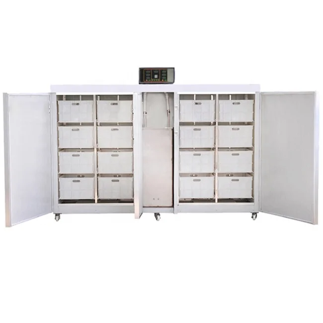 High quality best selling mung bean sprout machinery