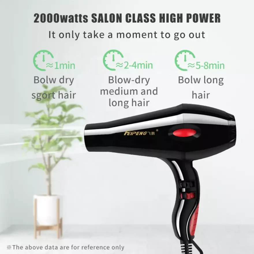 Factory direct sale 2 speed silent wind speed hair dryer with heating protection device