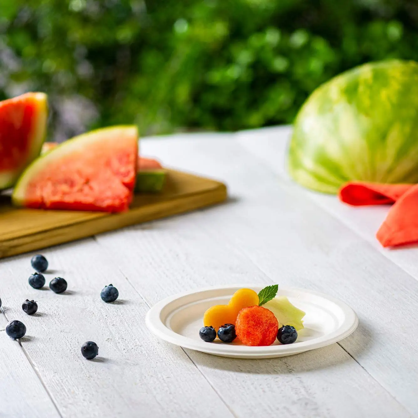 Environmentally Friendly Biodegradable Disposable Plates/Sugarcane Bagasse Tableware/Paper Sugarcane Bagasse Fiber Disc