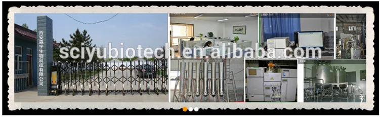 Korean Red Ginseng Extract Powder 5%-80% Ginsenoside Herbal Extract by Solvent Method