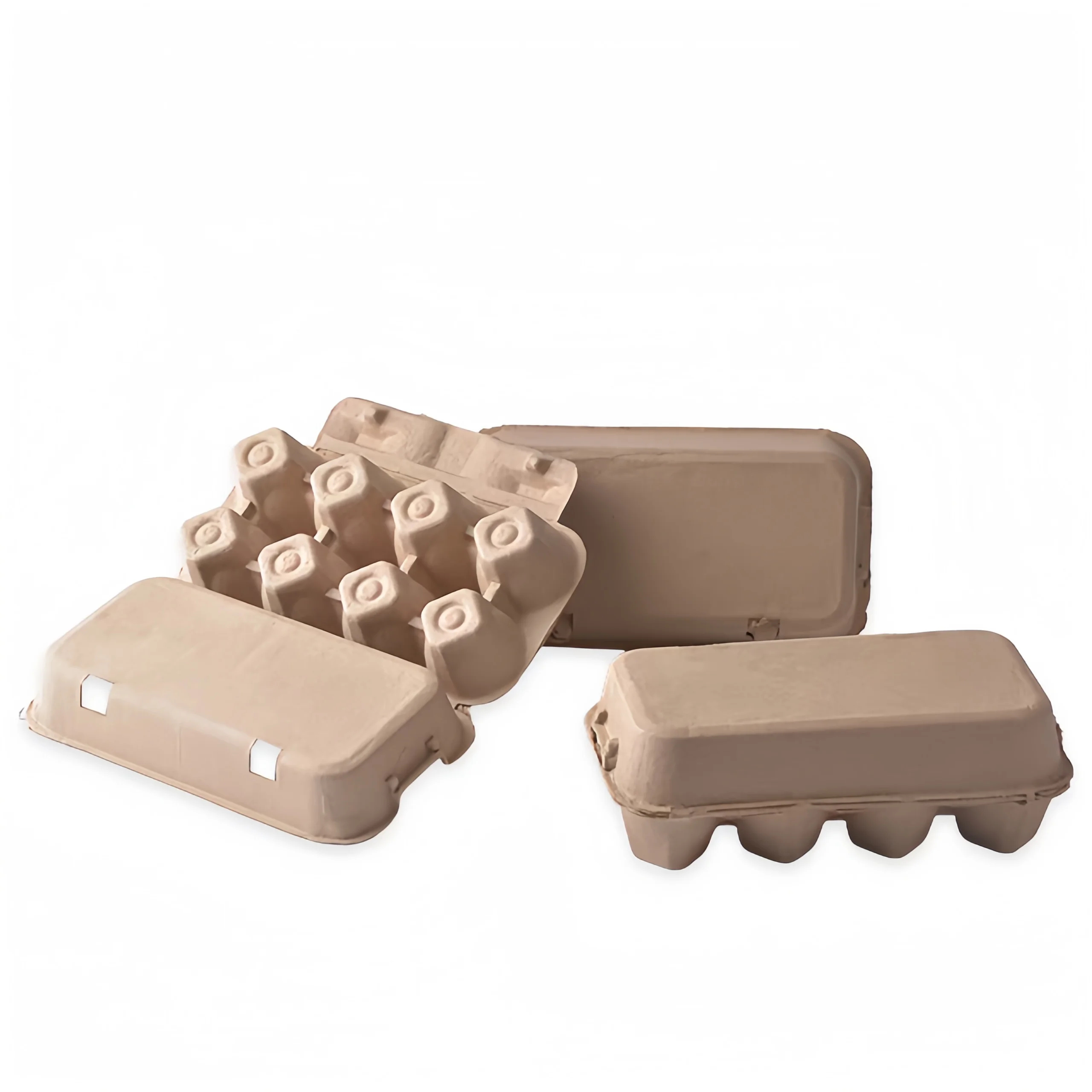 Custom Low Price Six Holds Biodegradable Paper Pack Duck Eggs Carton Tray Box