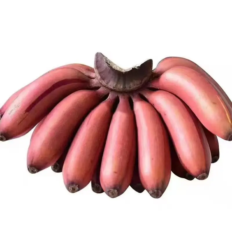 Fitness Red Beauty Banana Fire Dragon Banana Season Fresh Fruit Sweet Red Banana