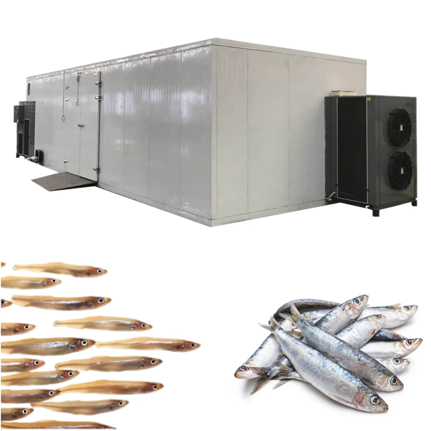 Fish Factory Special Dried Fish Dryer with Customizable Drying Chamber and Stainless steel tray