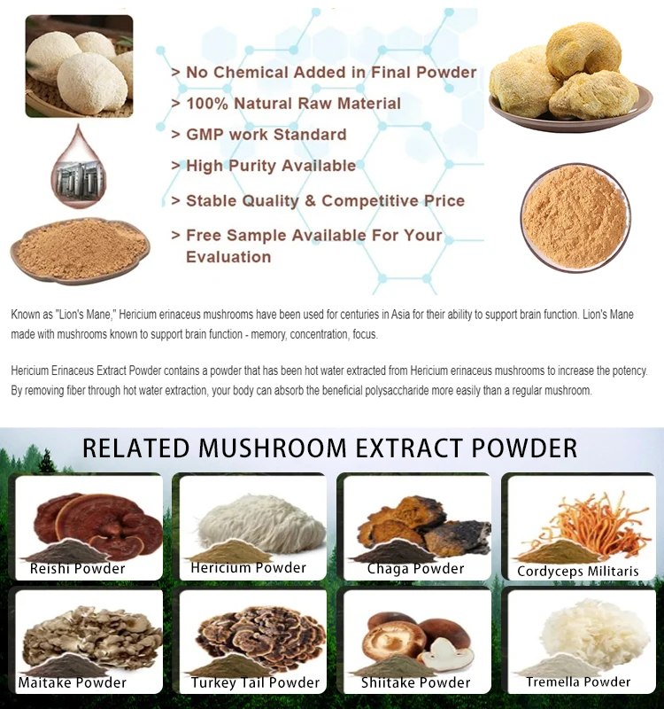 High Quality Pure Nautral Hericium Erinaceus lions Mane Mushroom Dried Hericium Erinaceus Mushroom Extract