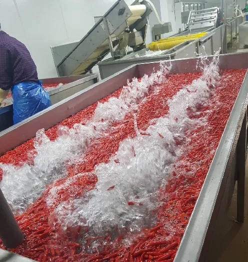 Frozen stemless Red pepper chilli, supper hot and spicy with affordable price