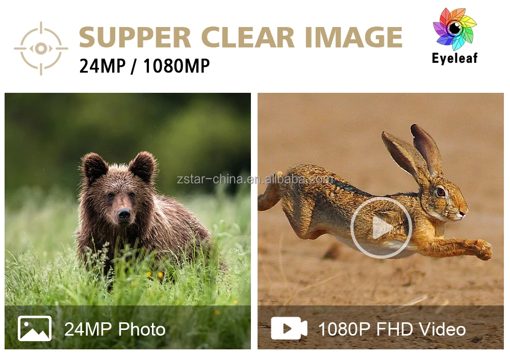 Factory OEM SW5.8CG MMS GSM 4G LTE Cellular Sport Hunting Camera 16MP Wireless Trail Camera For Outdoor