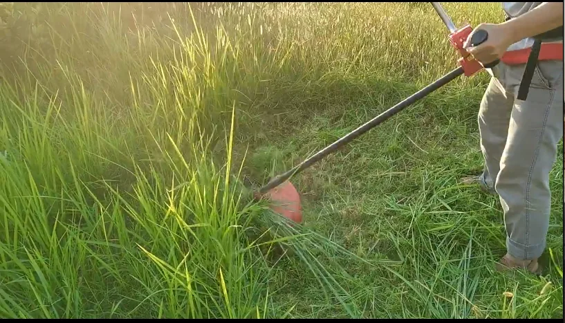 Garden Tools 36V Nylon Rope/Circular Saw Blade Electric Brush Cutter Equipped with Large Capacity Battery Pack Lawn Mower