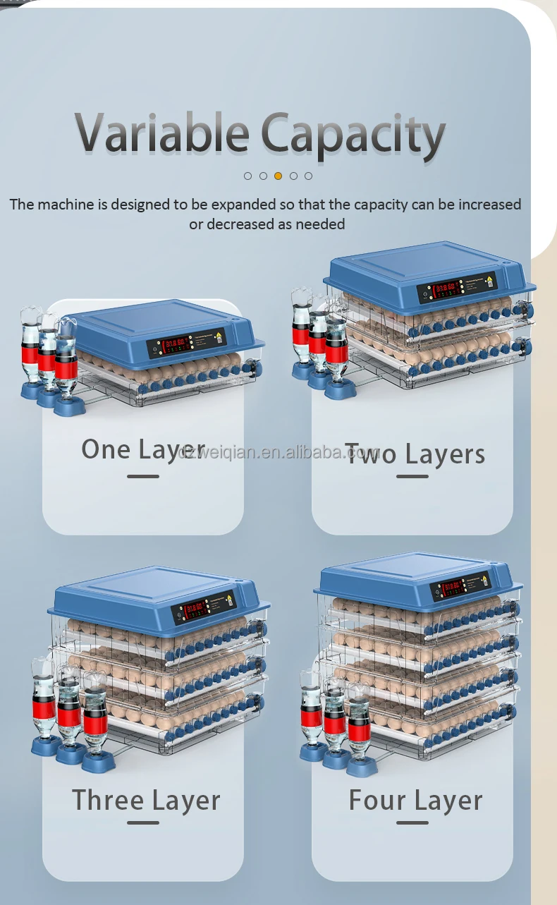 egg incubator (6).jpg