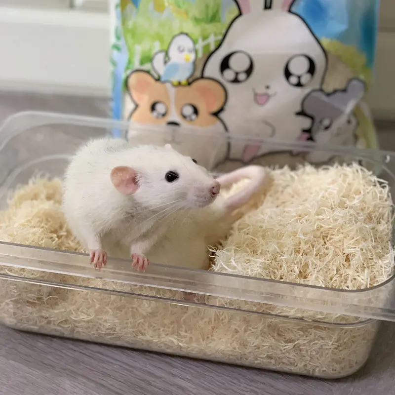 2023 Emily factory pets supply hamster Aspen Wood Shaving flakes bedding for small animals