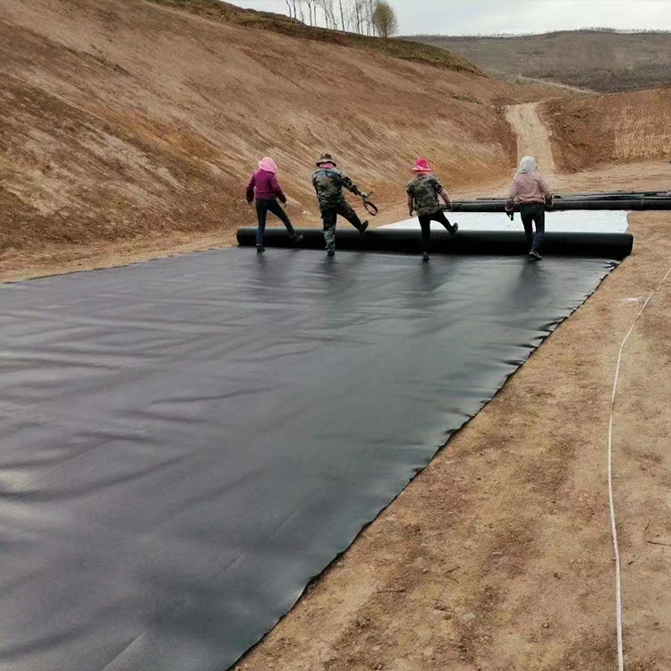 China supplier welding geomembrane 2mm biogas digester geomembrane price in pakistan