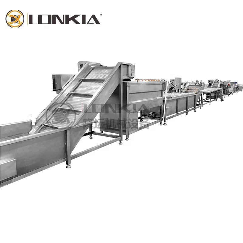 LONKIA salad washing line/vegetable and fruit processing line /frozen vegetable production line