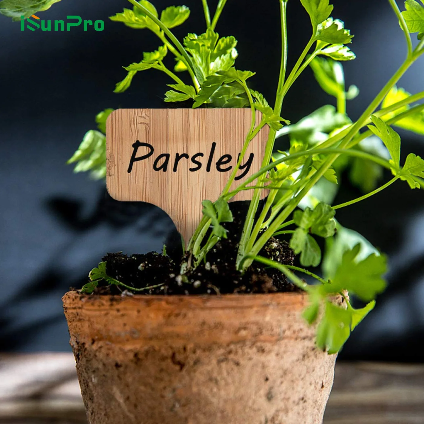 Bamboo Plant Labels Garden Markers T-Type Plant Tags Flower Marker Thick Tag Label