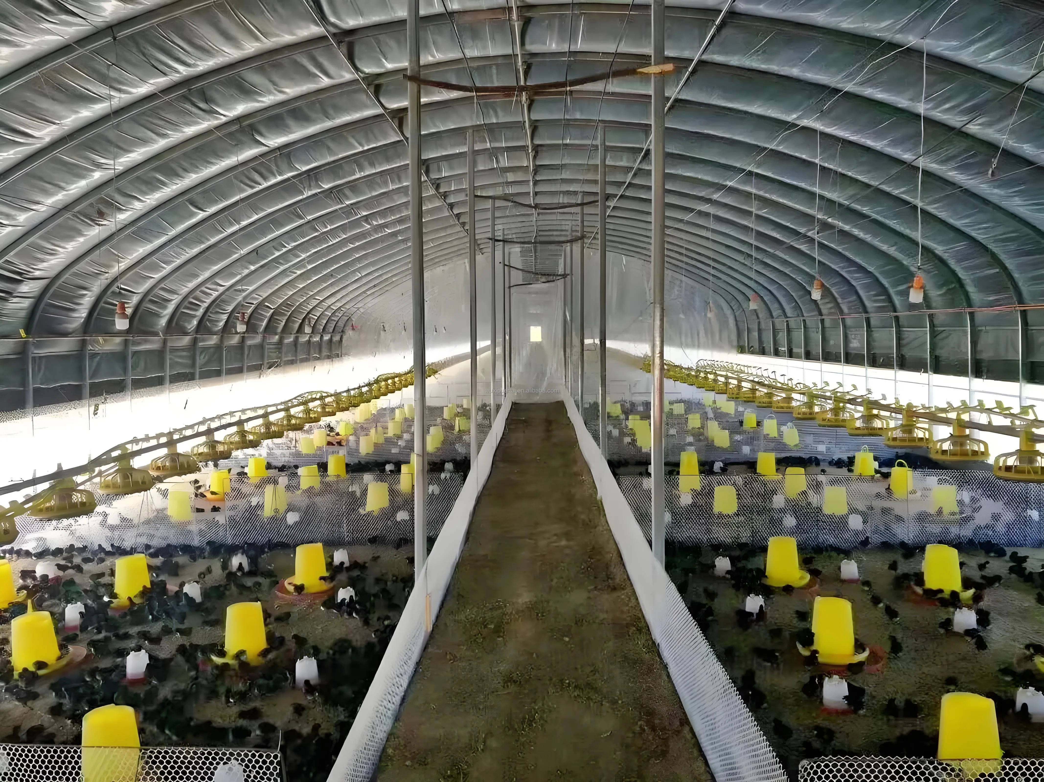 Large Greenhouse Plant Breeding Hydroponic Design Durable PVC Steel PE Materials Low Cost Single Double Layer Plastic Film Cover